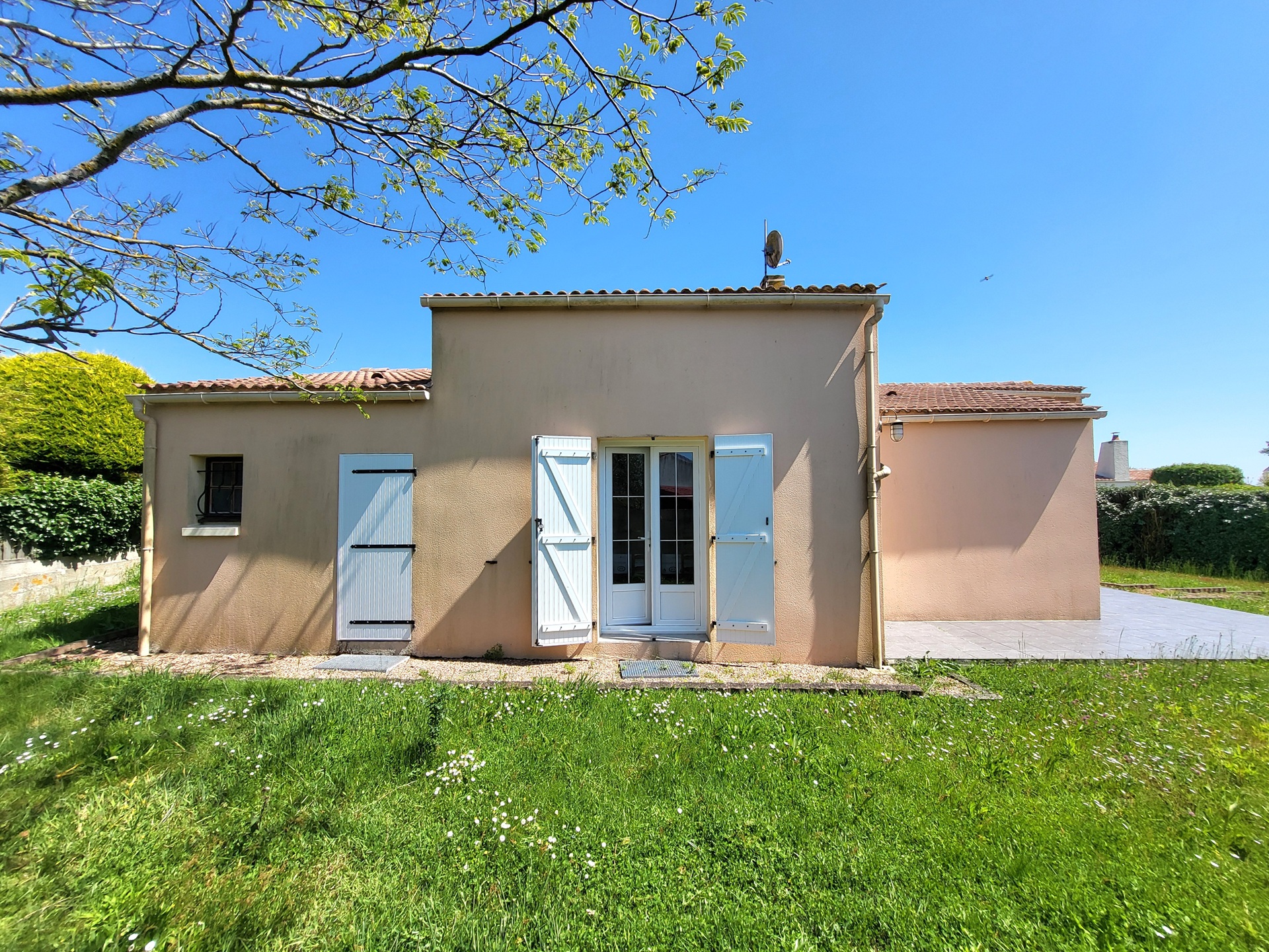 MAIS P06075